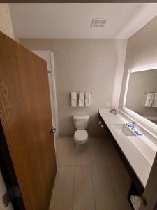 Sheldon谢尔顿智选假日套房酒店的一间带卫生间、水槽和镜子的浴室