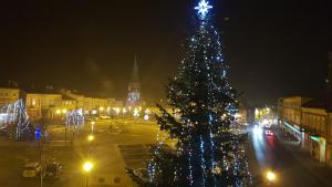 StrzyżówApartament Pool SPA z jacuzzi的夜城里一棵圣诞树