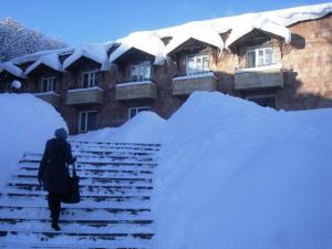 萨克德佐尔镇Дом Писателей Цахкадзора的走的女人 大楼前的雪覆盖楼梯