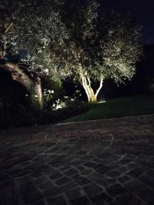 布雷西亚Villa Beatrice的一群树木在公园里过夜