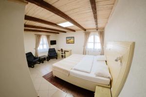 BoljevacHotel Etno Centar Balasevic的卧室配有一张床和一张桌子及椅子