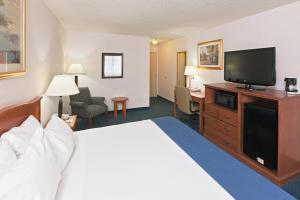 圣达菲圣达菲塞里略斯智选假日酒店的配有一张床和一台平面电视的酒店客房