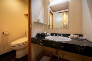 会津若松今昔亭的一间带水槽、卫生间和镜子的浴室