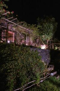 丰沙尔Ga281的享有树木和植物花园的夜景