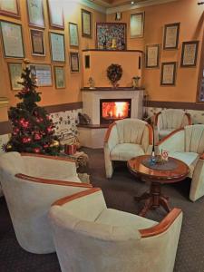 贝尔格莱德加尼拉佛酒店的客厅配有圣诞树和壁炉