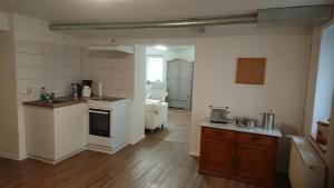 巴特萨克萨Ferienwohnung Wäldle的厨房配有水槽和炉灶 顶部烤箱