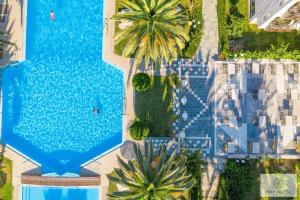 罗希姆诺五月海滩酒店的享有棕榈树大型游泳池的顶部景致