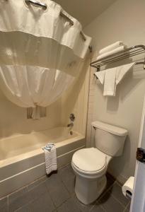阿比林安提雷酒店的浴室配有白色卫生间和浴缸。