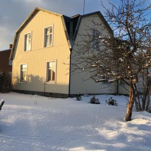 KrylboParkgatan villa的雪中一棵树的黄色房子