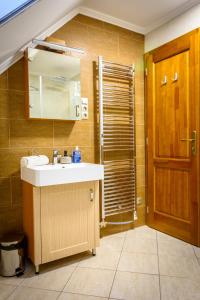 厄尔韦涅什Tulipán vendégház的浴室配有盥洗盆和带镜子的淋浴