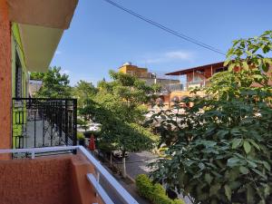 特基拉Hostal Herencia的阳台享有街道和树木的景致。