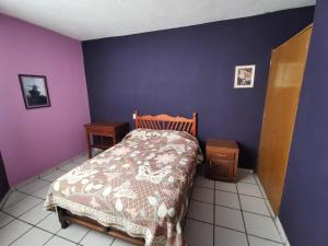 SalvatierraHotel Posadas Ocampo By Rotamundos的一间卧室配有一张床和紫色的墙壁