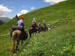 科索夫Tur Gotel Kosiv的一群骑马的人在山丘上骑着马