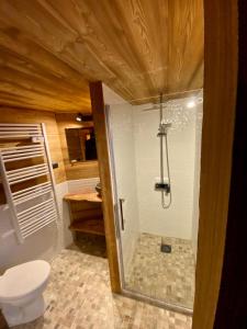 蒂涅chalet la grange的带淋浴和卫生间的浴室。