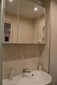 纳尔瓦Gallery的一间带水槽和镜子的浴室