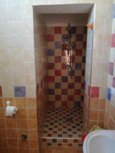 庞贝庞贝罗格住宿加早餐旅馆的浴室设有瓷砖淋浴和卫生间