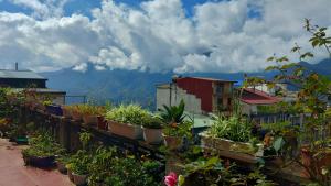 萨帕阮当住宿加早餐旅馆的山间阳台上的一排盆盆植物