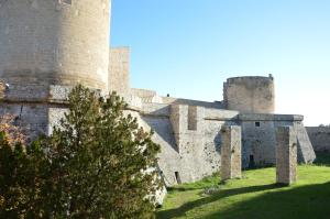 韦诺萨Dimora Sole Raggiante的前面有棵树的城堡