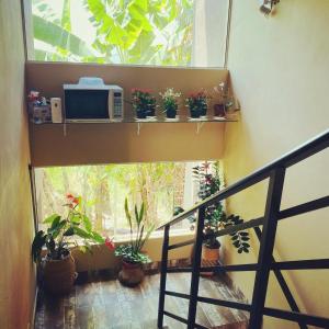 弗洛里亚诺波利斯Residencial da Cris的阳台种植了盆栽植物,窗户配有微波炉