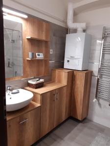 杰尔5Churches Apartment的一间带木制橱柜和水槽的浴室