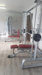托里霍斯Hospedium Hotel Castilla的一间健身房,里面设有数个健身器材