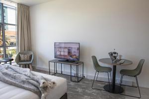 惠灵顿Sojourn Apartment Hotel - Riddiford的带沙发、桌子和电视的客厅