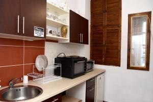 索非亚Santa Sofia的厨房配有水槽和微波炉