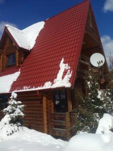 Dolishniy ShepitЕко садиба в Карпатах Лостун的雪中带红色屋顶的小木屋
