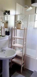 Arrens-MarsousChalet d'une chambre avec sauna et wifi a Arrens Marsous的浴室设有水槽和淋浴旁的梯子