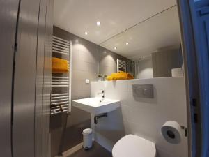 谷雪维尔Lodge Les Merisiers的一间带水槽、卫生间和镜子的浴室
