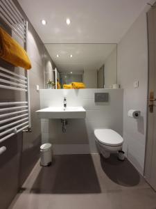 谷雪维尔Lodge Les Merisiers的白色的浴室设有水槽和卫生间。