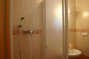 霍尼普拉纳扎后罗富罗哲公寓酒店的带淋浴和盥洗盆的浴室