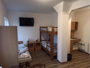 Borovanypenzion U Kmotra的客房设有两张双层床和电视。