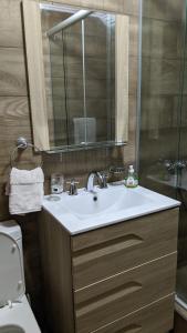 马德普拉塔Hostel Sauce的一间带水槽、卫生间和镜子的浴室