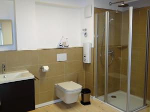 巴特Speicher Residenz Barth E4 App 9的带淋浴、卫生间和盥洗盆的浴室
