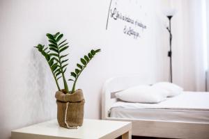 利沃夫温馨中央BV公寓的坐在卧室桌子上的盆栽植物