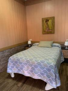 卡塞雷斯Hostal - Bungalows Camping Cáceres的卧室配有一张床,墙上挂有绘画作品