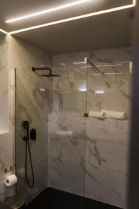 特里卡拉ASKLIPIOS LUXURY SUITE的带淋浴的浴室和玻璃门