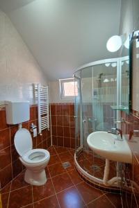 克拉古耶瓦茨Guest House Villa Mir的浴室配有卫生间、淋浴和盥洗盆。