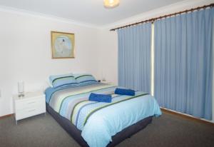 凯阿玛Kiama Coastal Escape的一间卧室配有床和蓝色窗帘的窗户