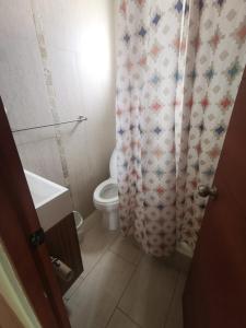 安托法加斯塔Departamento 3 dormitorios sector sur piso bajo的一间带卫生间和淋浴帘的浴室