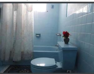 卢西Eddie's Night Rest的蓝色的浴室设有卫生间和花瓶浴缸