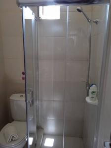 马约城Hotel AH Maio的浴室设有玻璃淋浴间和卫生间