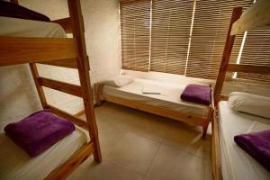 埃斯特角城Hostel Punta Ballena Bar的客房设有三张双层床和一扇窗户。