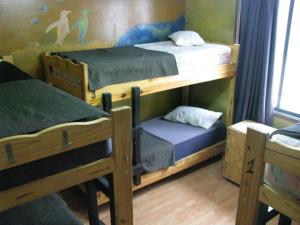 苏尔塔青旅客房内的一张或多张双层床