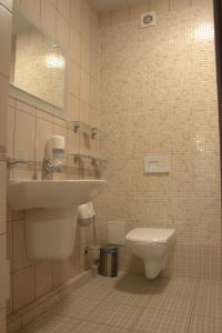 泽列诺格拉茨克Hotel Zolotaya Milya的一间带水槽和卫生间的浴室