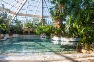 泽沃德Hotel Eemhof by Center Parcs的棕榈树建筑中庭的游泳池