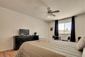 肖维尼根Auberge motel drakkar的一间卧室配有一张带吊扇的床和一台电视。