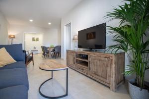 加的斯Jardines de Candelaria Cadiz的客厅配有蓝色的沙发和平面电视。