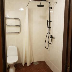 黑德梅埃斯泰Goodwin Guest House的带淋浴、卫生间和浴帘的浴室